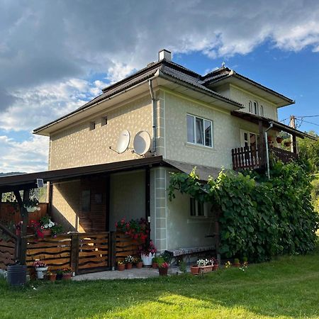 Villa Casa Danut Vidra  Esterno foto