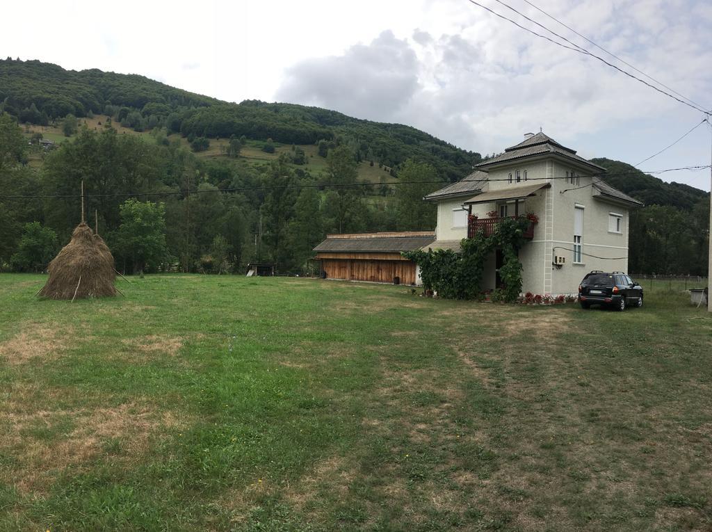 Villa Casa Danut Vidra  Esterno foto